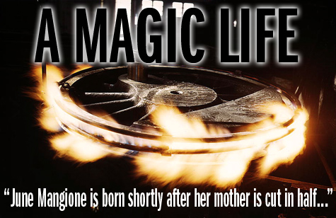 A Magic Life