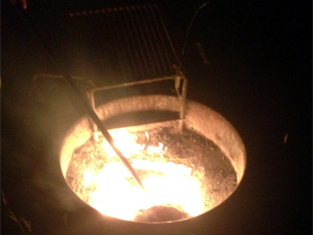 Fire Pit at Cooper Lake State Park.