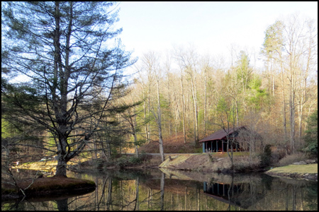 Secluded Cabin