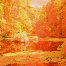 A surreal fall photo.