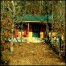 Paul Lamb's Cabin in the Woods