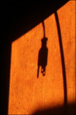 Unplugging from it all.