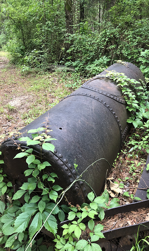 Discarded boiler in the woods.