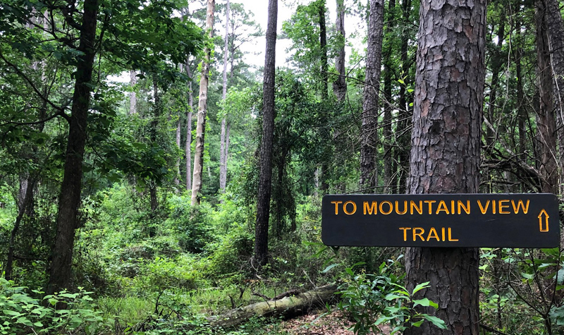 To Mountain View Trail sign.