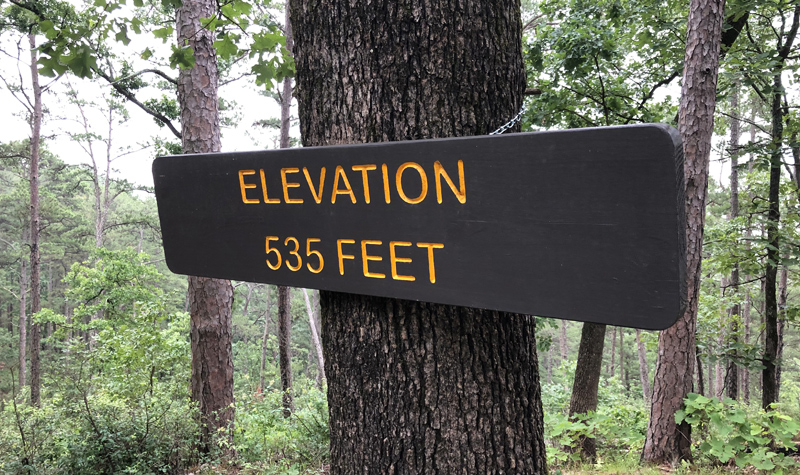 Elevation 535 feet sign.