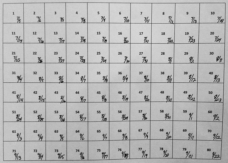 Grid for the 80-days challenge