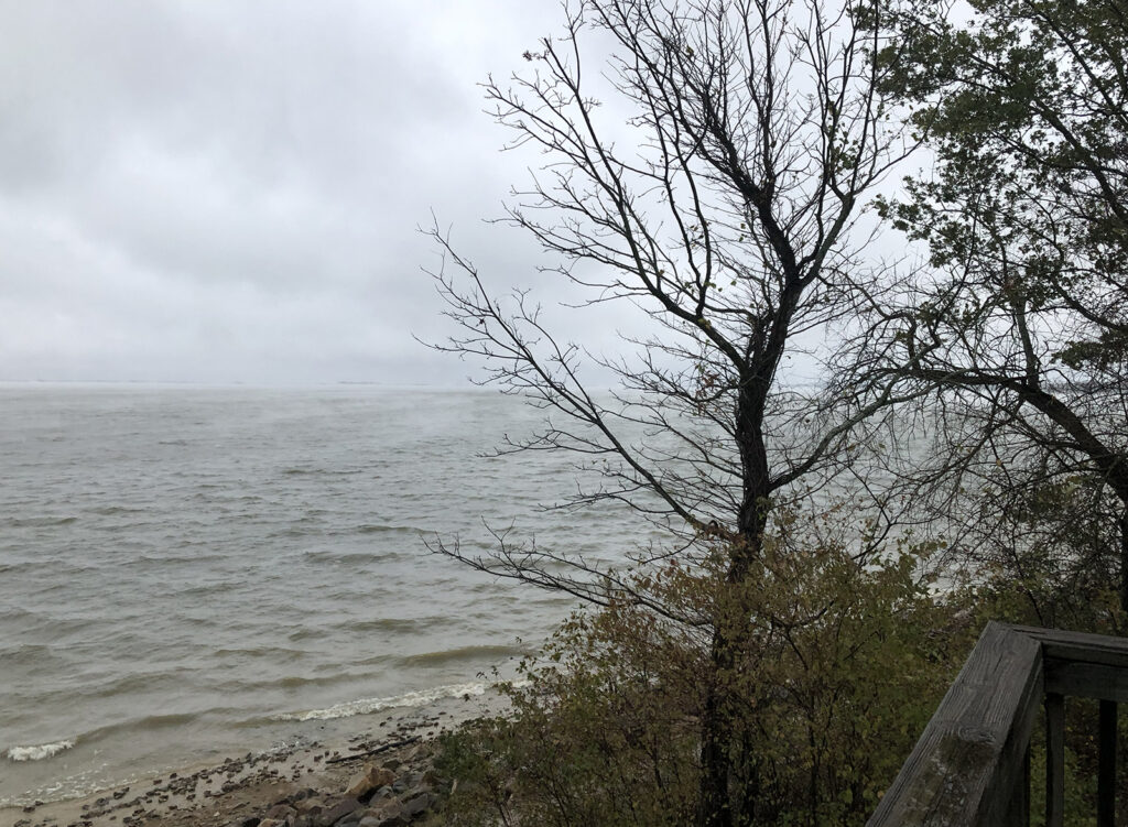 A tree near the cabin deck with a choppy Cooper Lake in the background.