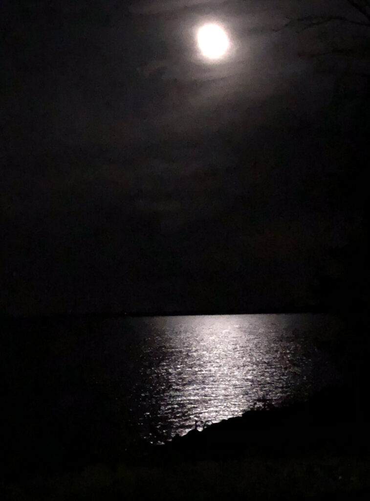 Moonlight shining on the lake.
