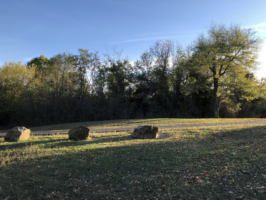 Several large stones in the grass illuminated by the sun off image to the right.