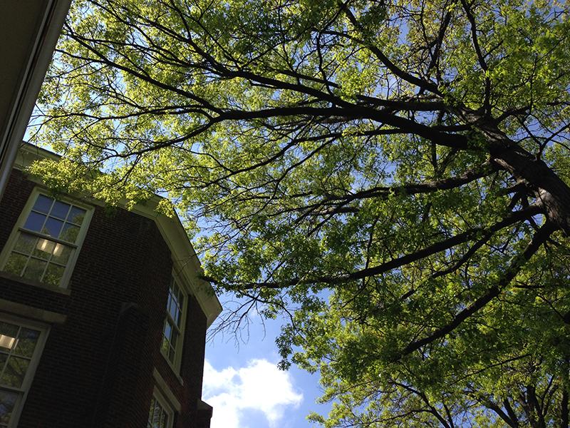 Blue sky, green trees, and a building on the Stephens College campus