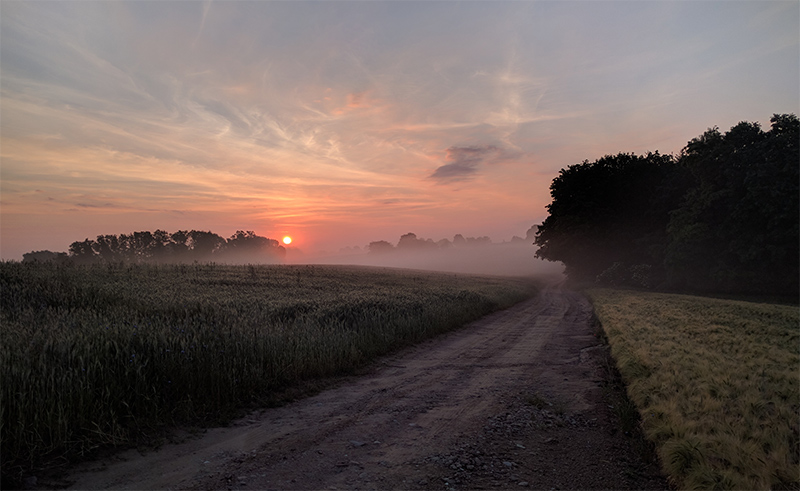 Quiey Road - The August Hush