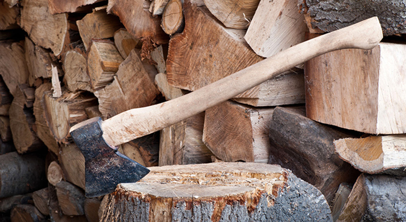 Ax in a tree stump