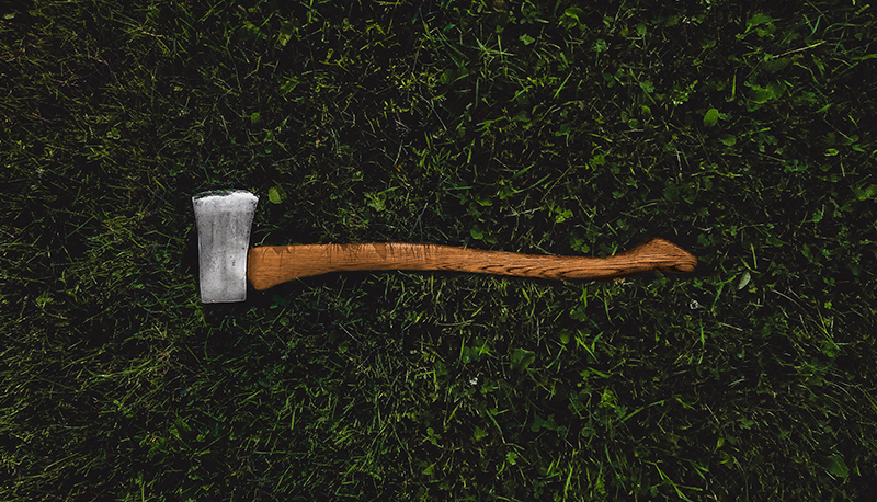 Ax in the grass.