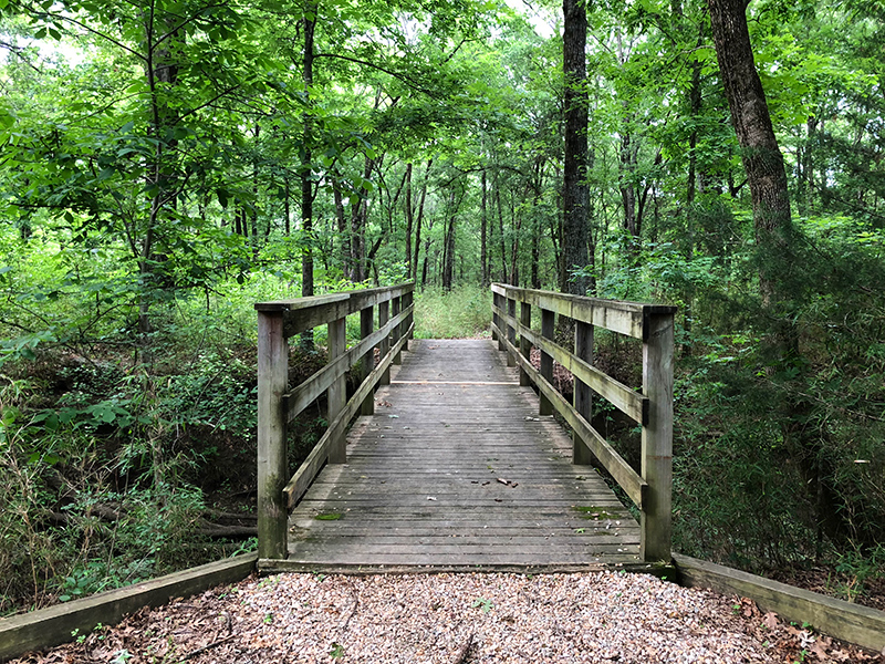 Bridge on Coyote Run Trail at Cooper Lake State Park