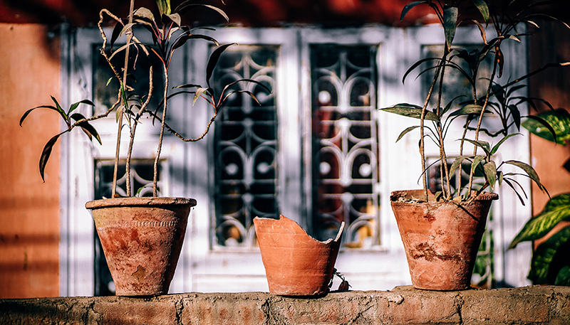 Broken plant pots