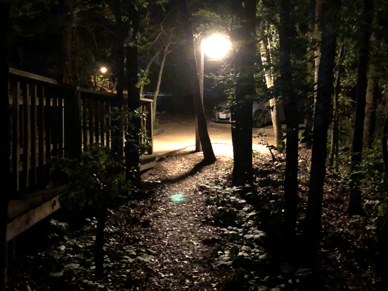 Cabin #13 at Cooper Lake State Park at night.