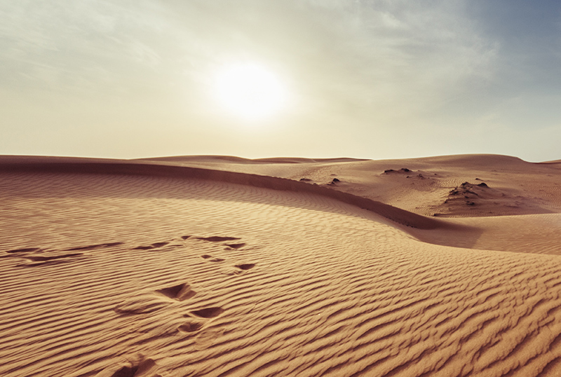 Hot sun and desert.