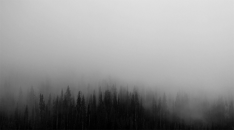 Fog