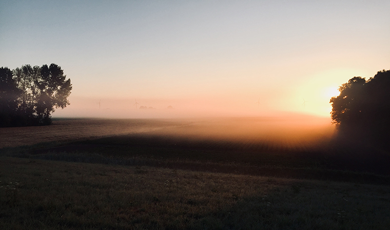 Sunrise through fog.