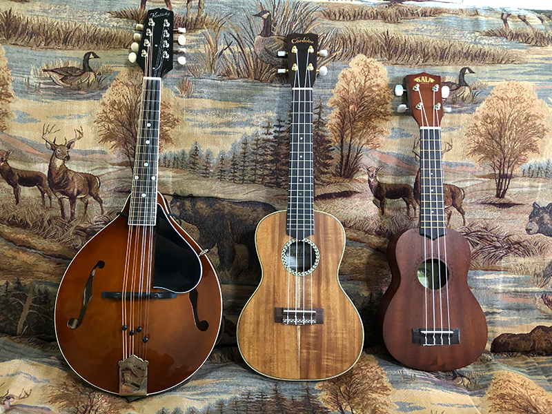 Mandolin and ukuleles.