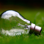 Light bulb in the grass