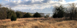 A meadow overlooking Grapevine Lake.