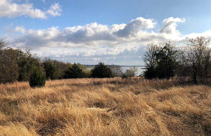 A meadow overlooking Grapevine Lake.