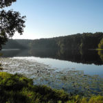 Daingerfield State Park in the morning