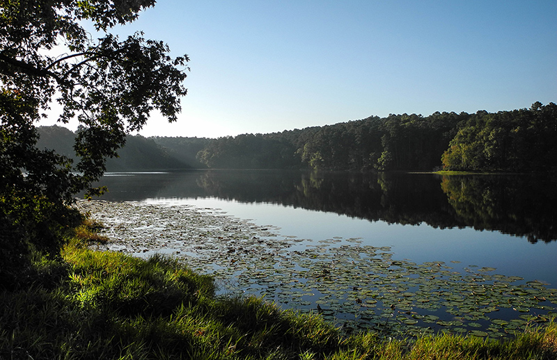 Daingerfield State Park in the morning