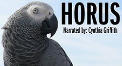 African Gray Parrot - Horus, Narrated by Cynthia Griffith