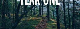 Trail into the forest - "Year One. No Lumberjacks Here..."