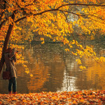 Woman taking a photo of autumn foliage