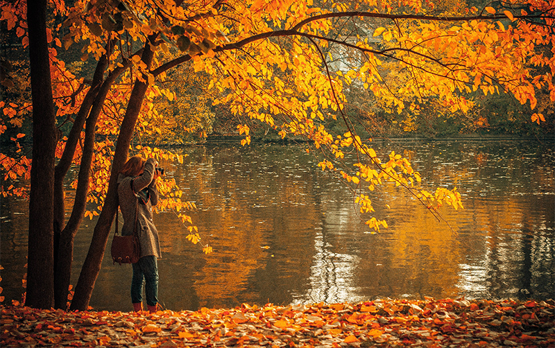 Woman taking a photo of autumn foliage