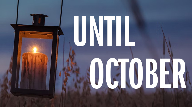 A candle in a lantern hangs at the left side of the image. Behind it, in the blue dusk, blurred focus stalks of brown wild grasses.