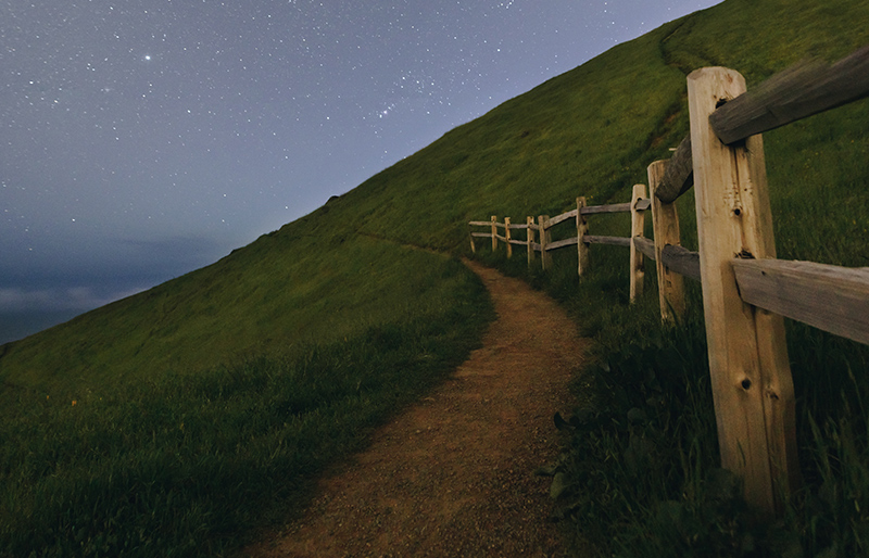 Path along a fenceline on a hill.