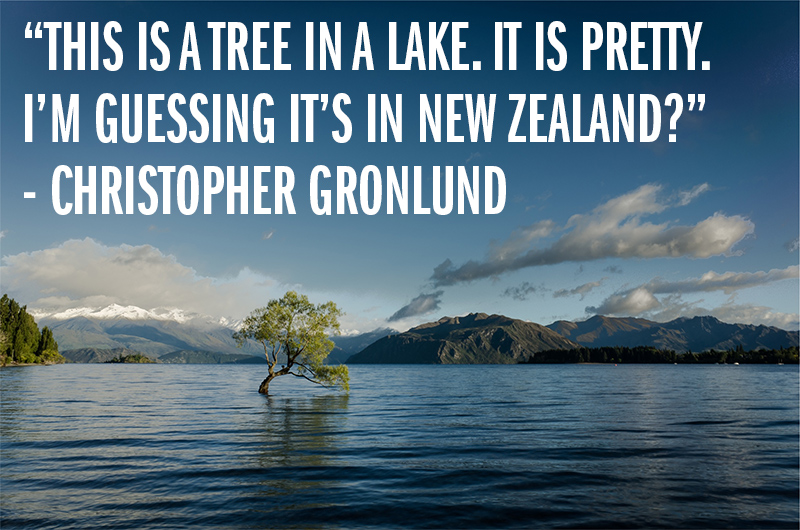 "This is a tree in a lake. It is pretty. I'm guessing it's in New Zealand?" - Christopher Gronlund