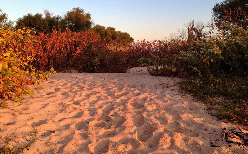 Secluded beach in the glow of sunrise