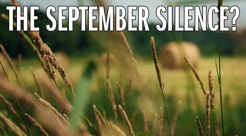 Stalks of wild grass in the foreground of a photo of a field. Blurred in the background: three large hay bales and green trees in the distance.