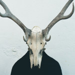 Person wearing skull and antlers