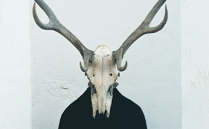 Person wearing skull and antlers
