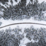 Road cutting through the trees