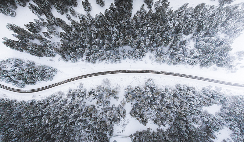 Road cutting through the trees