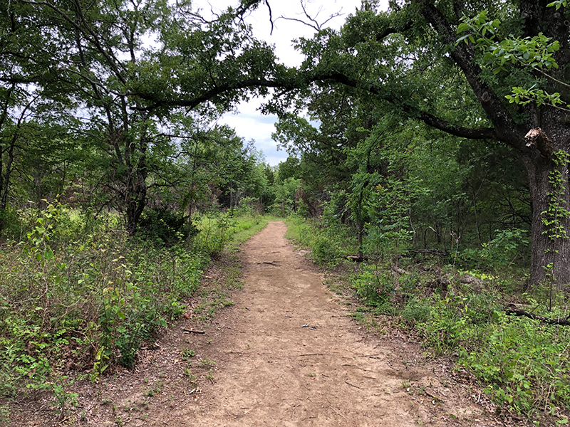 Coyote Run Trail at Cooper Lake State Park.