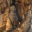 Inside a cave.