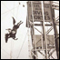 The Steel Pier Diving Horse.